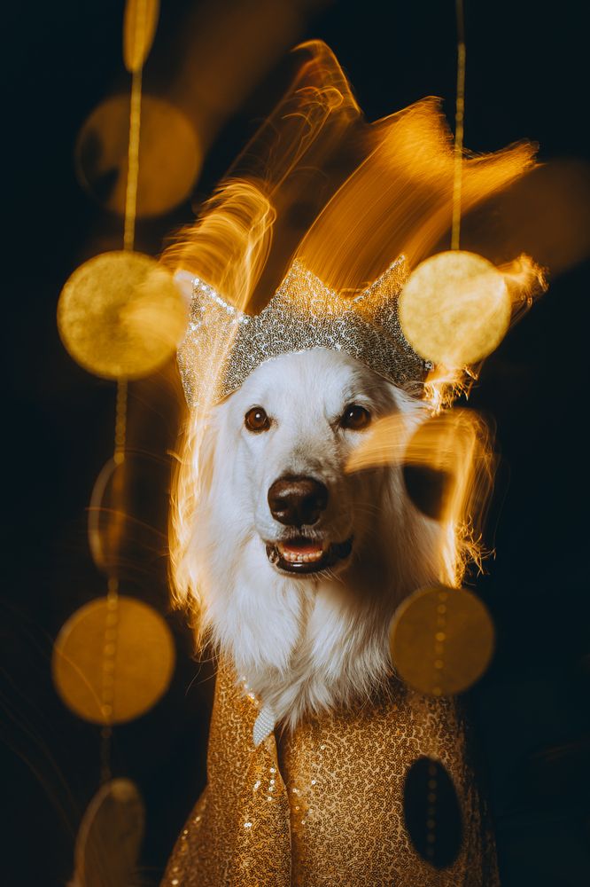 Фотография автора Екатерина Киреева