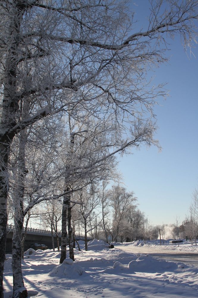 Photograph by Наталья Алексеева