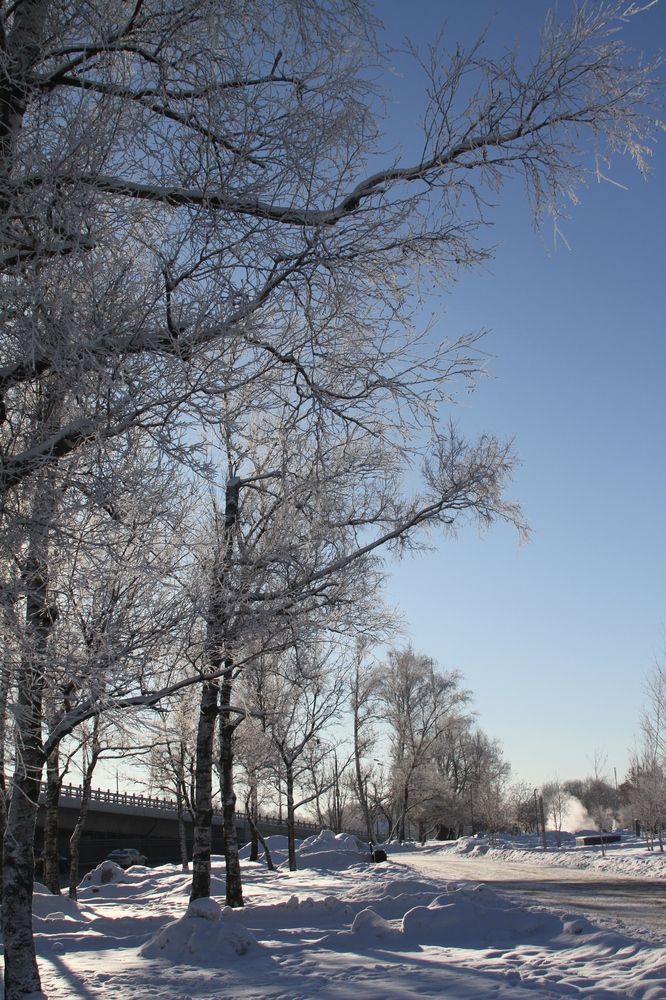 Photograph by Наталья Алексеева