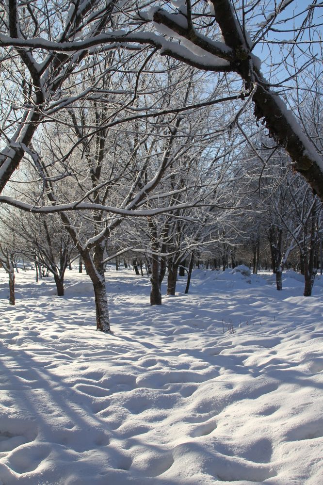 Photograph by Наталья Алексеева