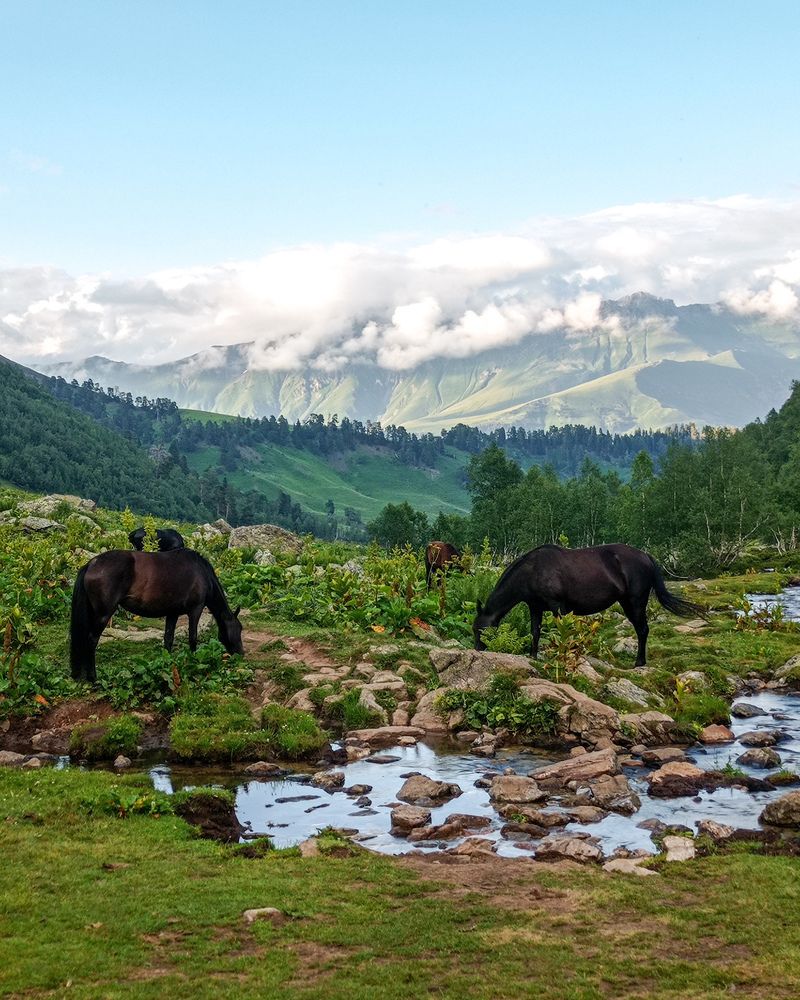 Фотография автора Кристина Горяйнова
