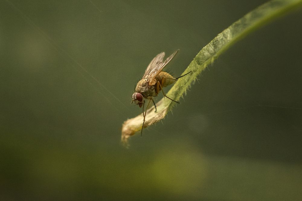 Photograph by Татьяна Тихомирова