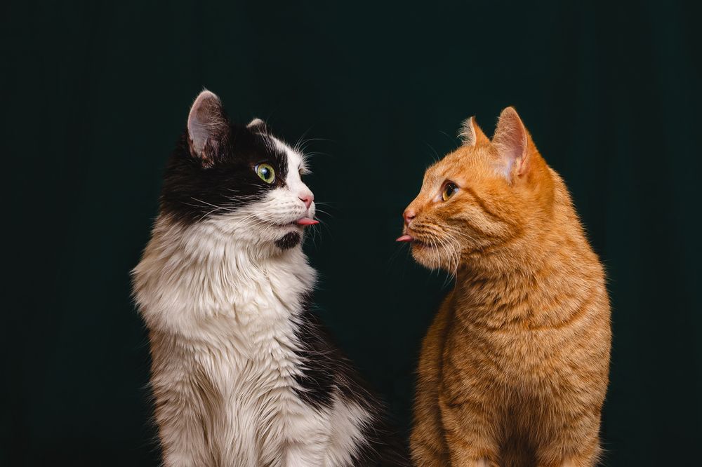 Photograph by Екатерина Киреева