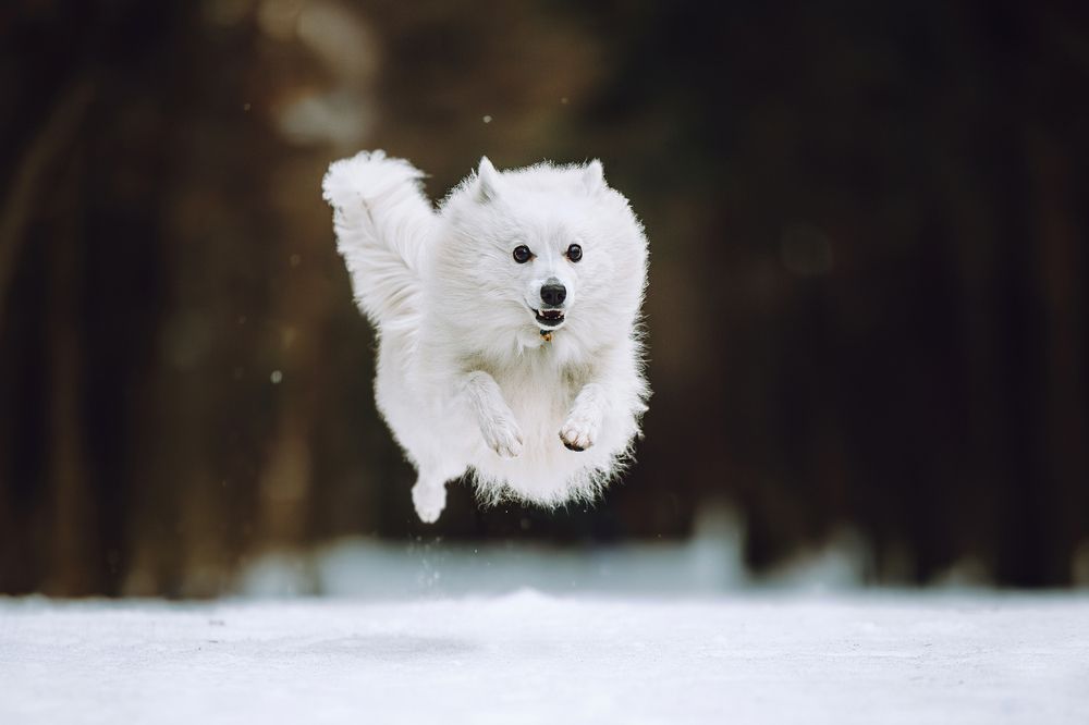 Фотография автора Екатерина Киреева