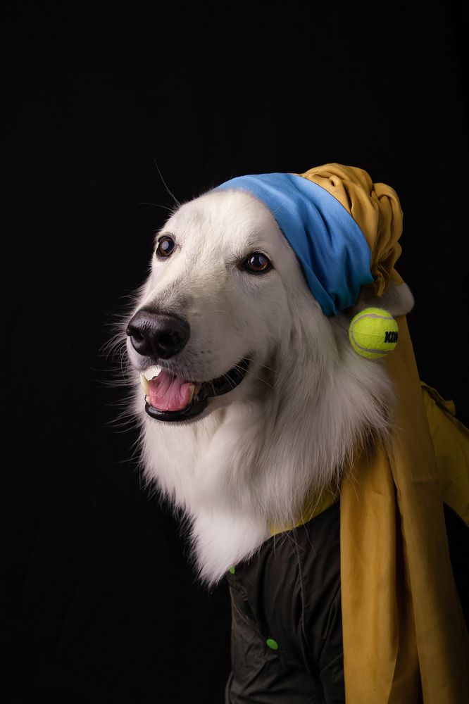 Фотография автора Екатерина Киреева