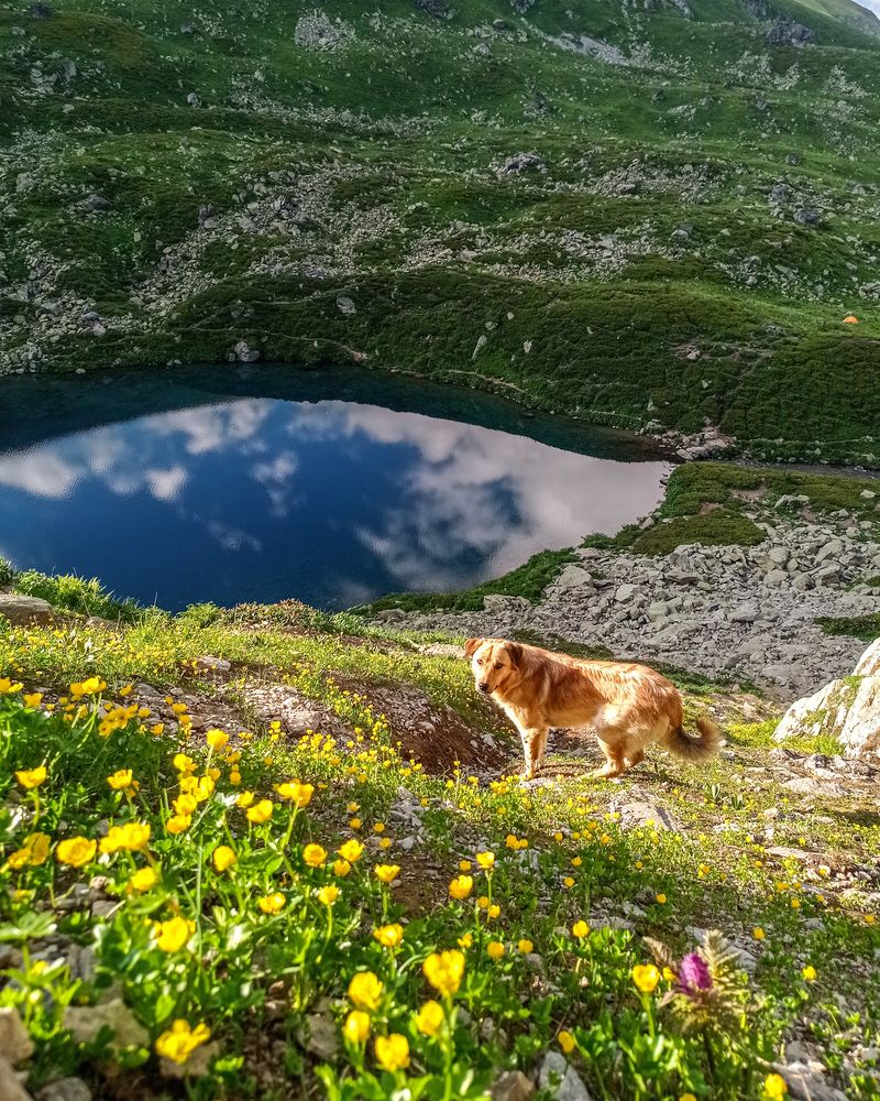 Фотография автора Кристина Горяйнова