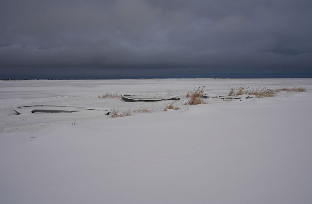 Фотография автора Наталья Белова
