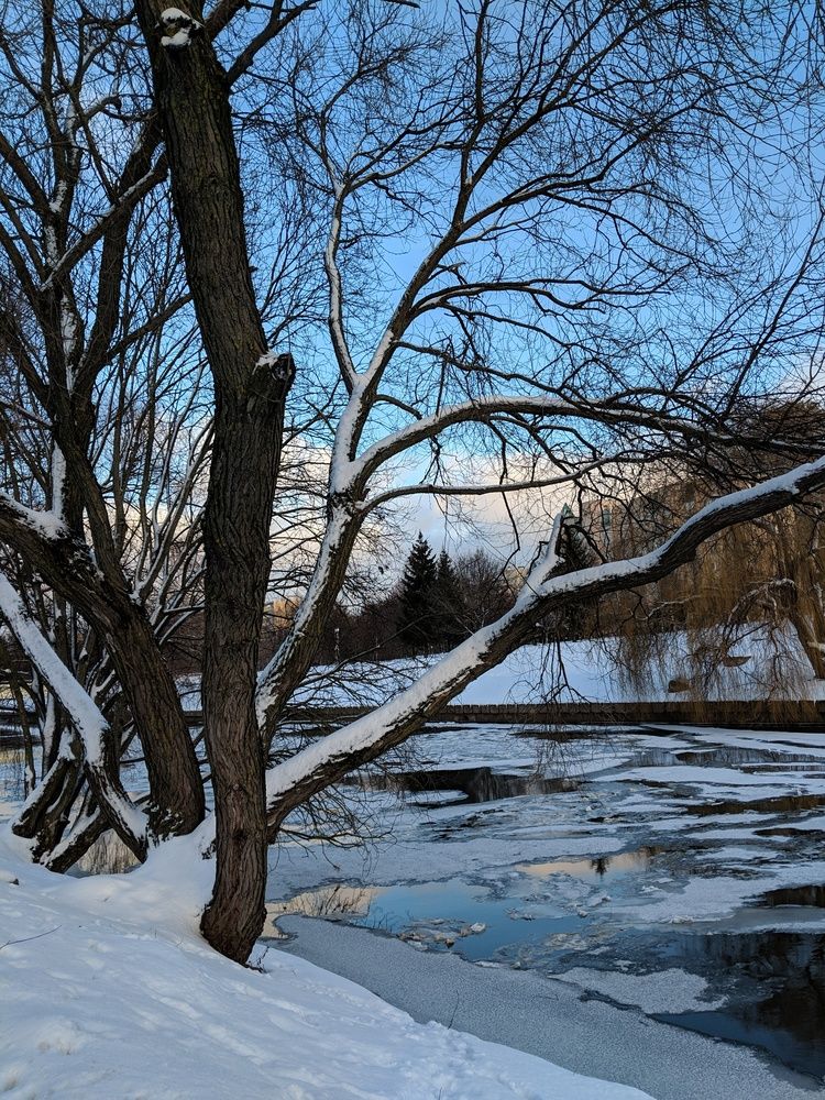 Photograph by Владимир Шнип