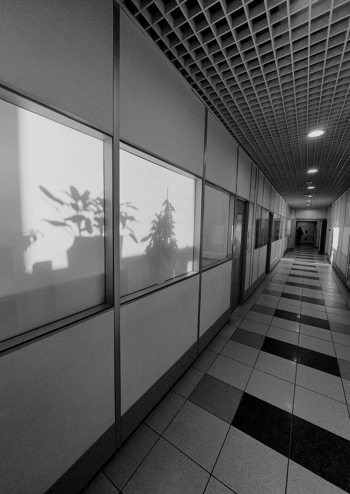 Photograph by Denis Lebedinskiy