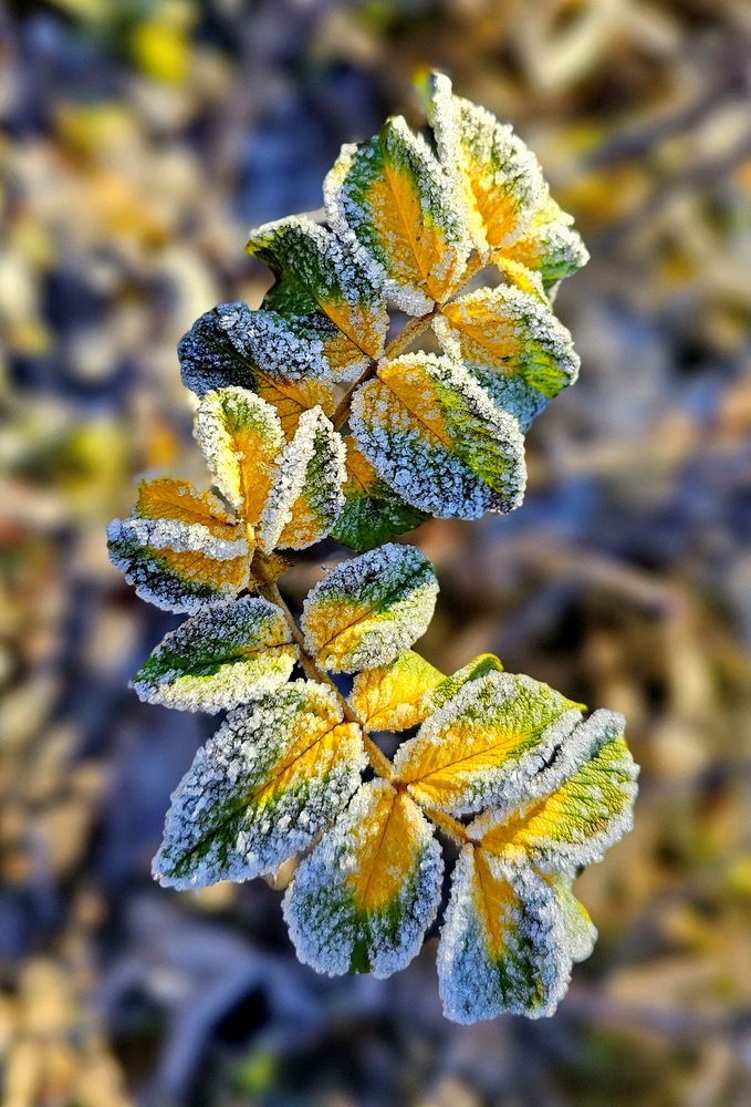 Photograph by Свиденцов Михаил