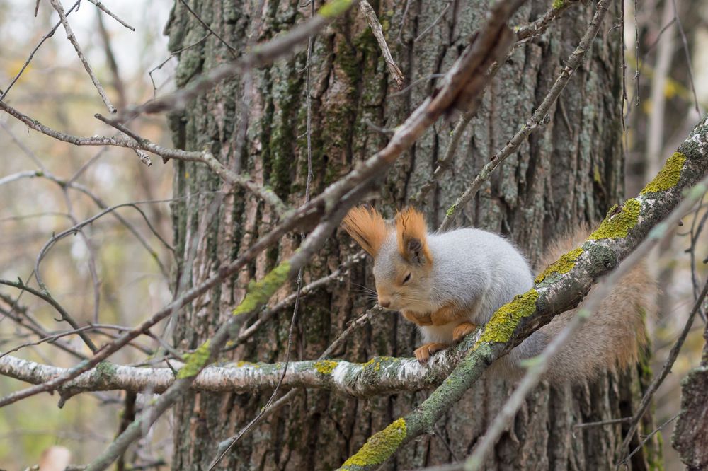 Photograph by Вячеслав