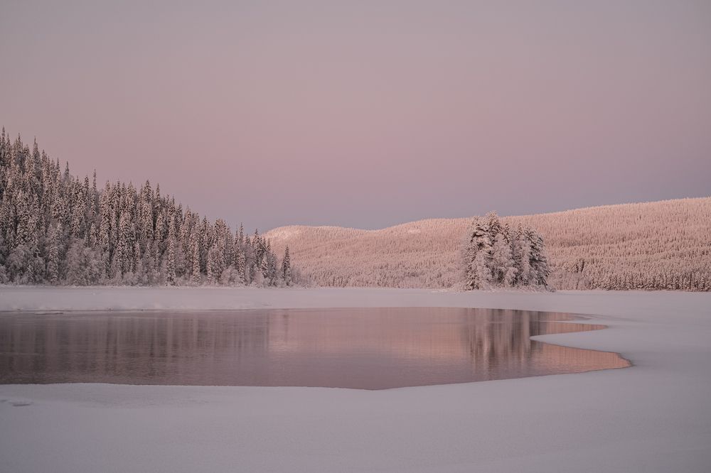 Photograph by Светлана Бурятинская