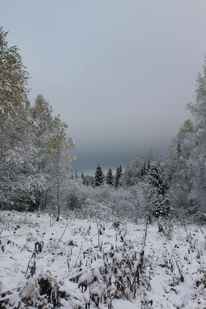 Photograph by Мария Колчанова