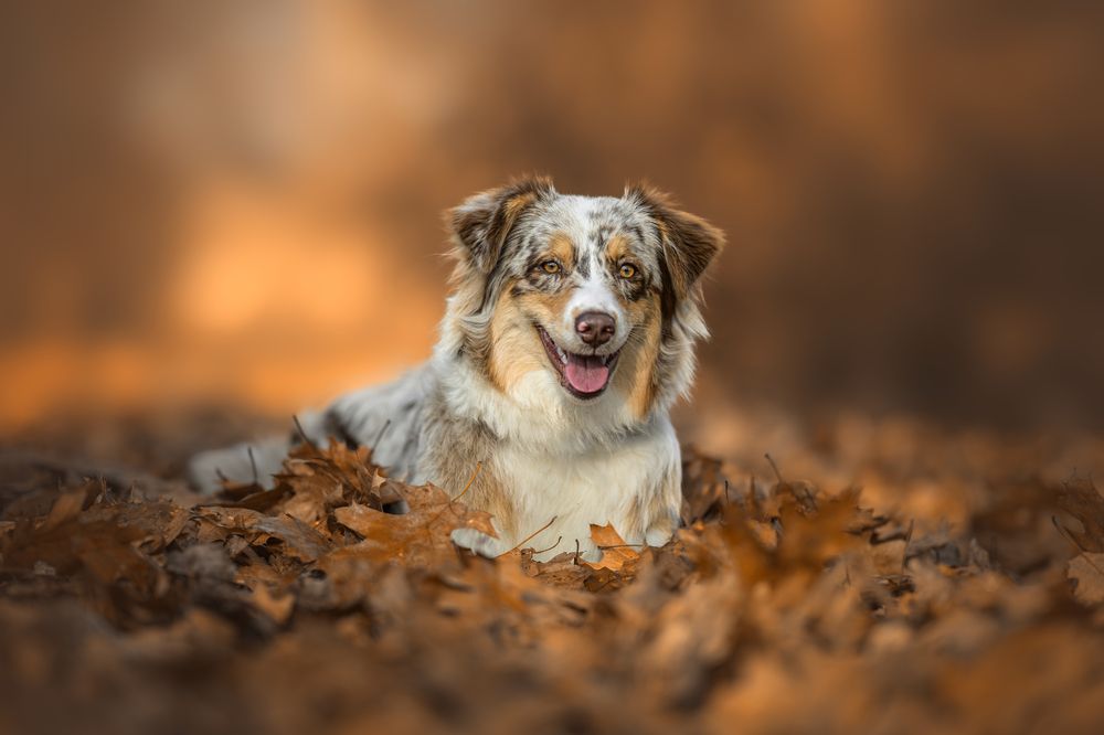 Photograph by Lucie Nermuťová