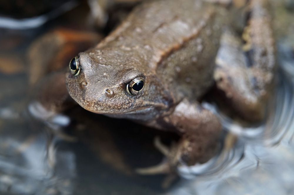 Photograph by Лена Максимкина