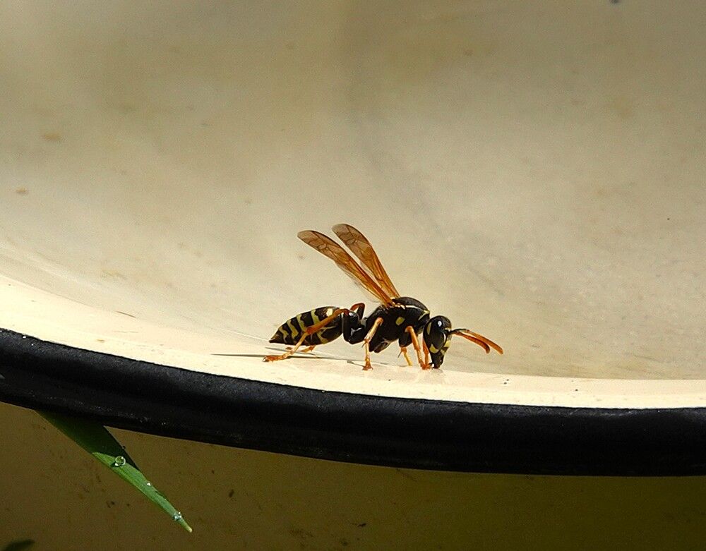 Photograph by Zakharov Matvey