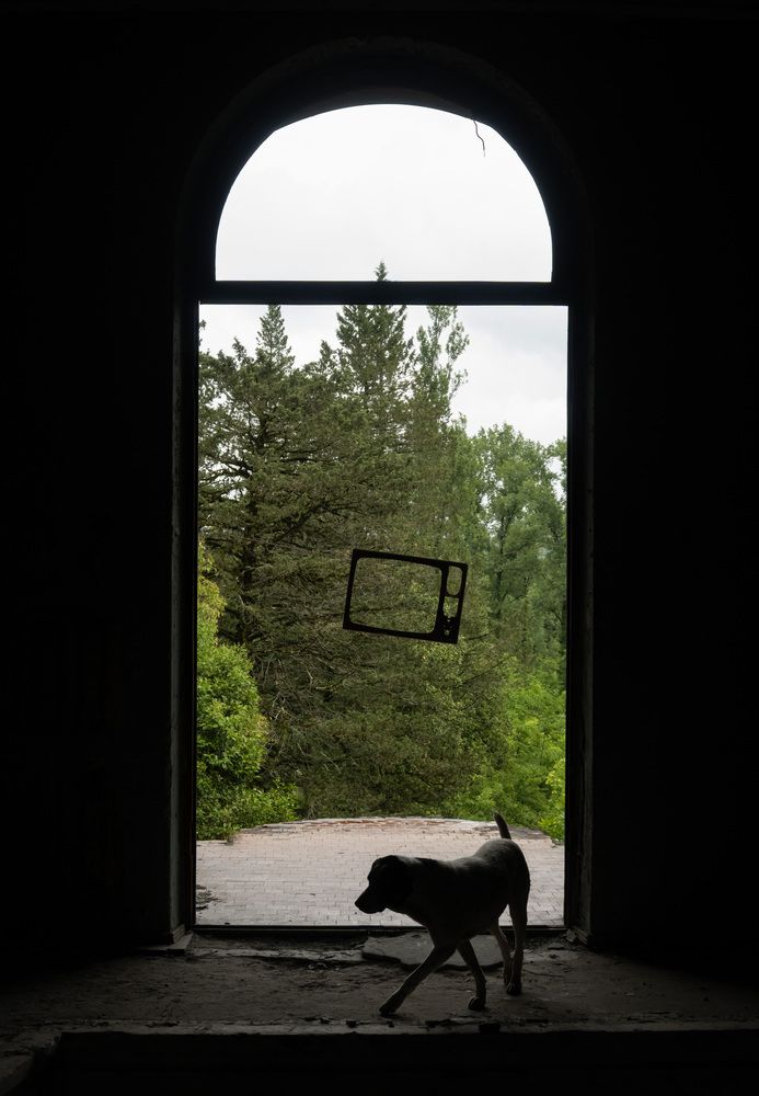 Photograph by Polina Latypova