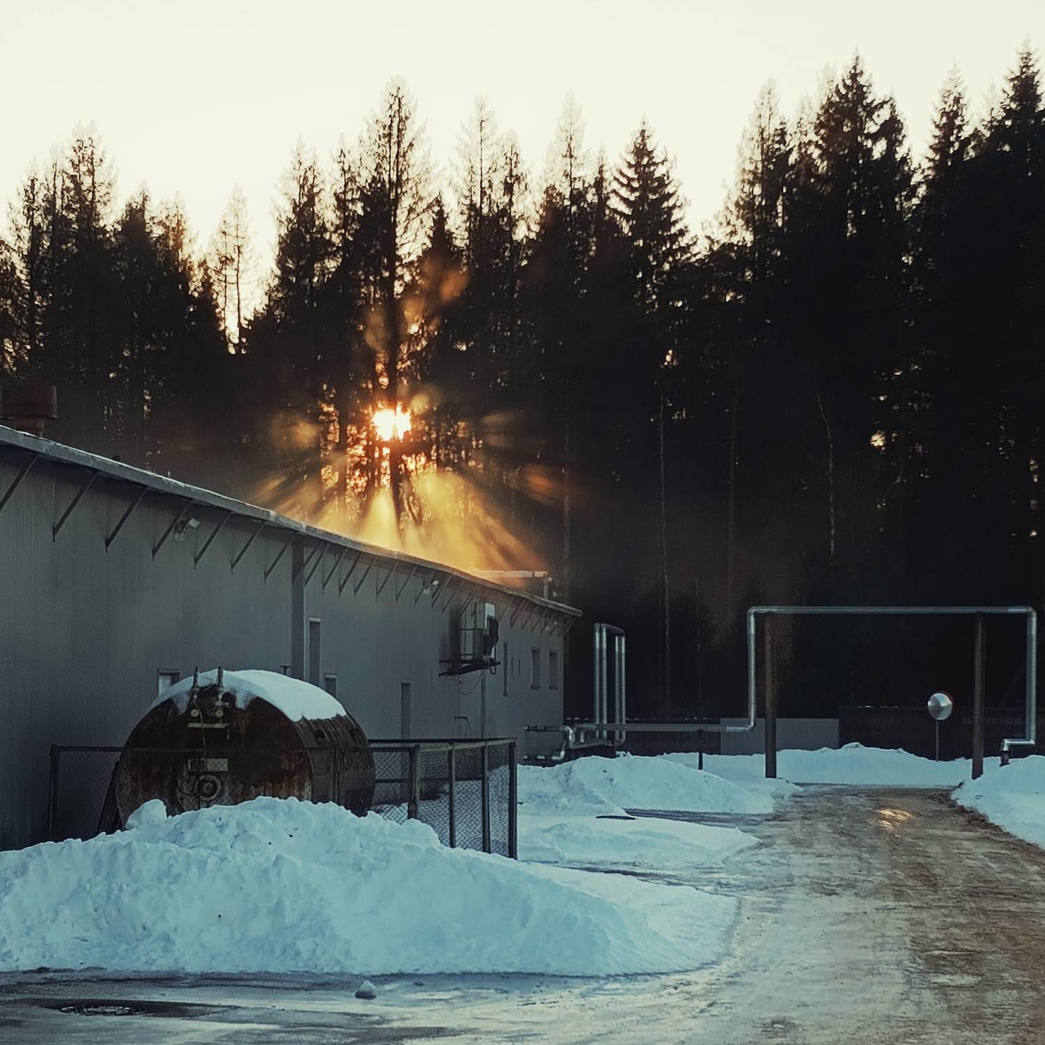 Photo #11933271