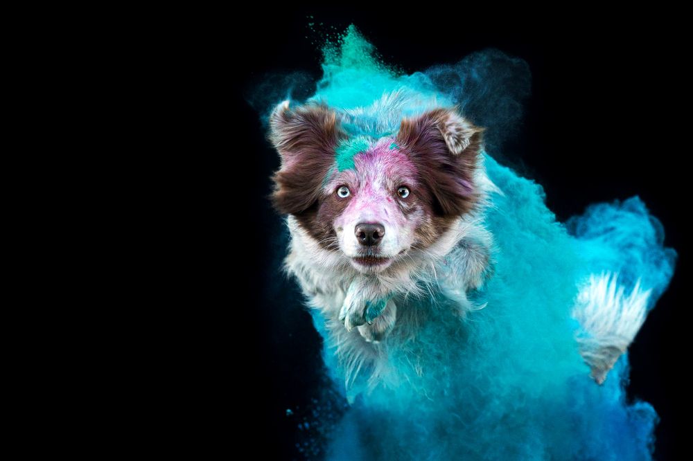 Фотография автора Екатерина Киреева