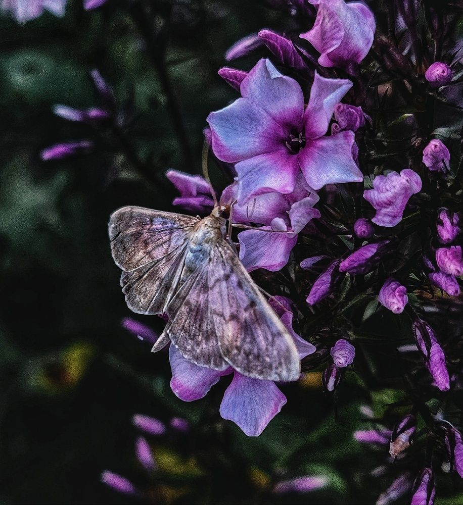 Фотография автора Татьяна Сякина