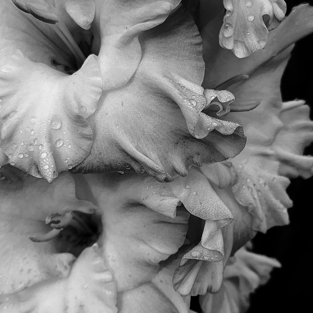 Фотография автора Татьяна Сякина