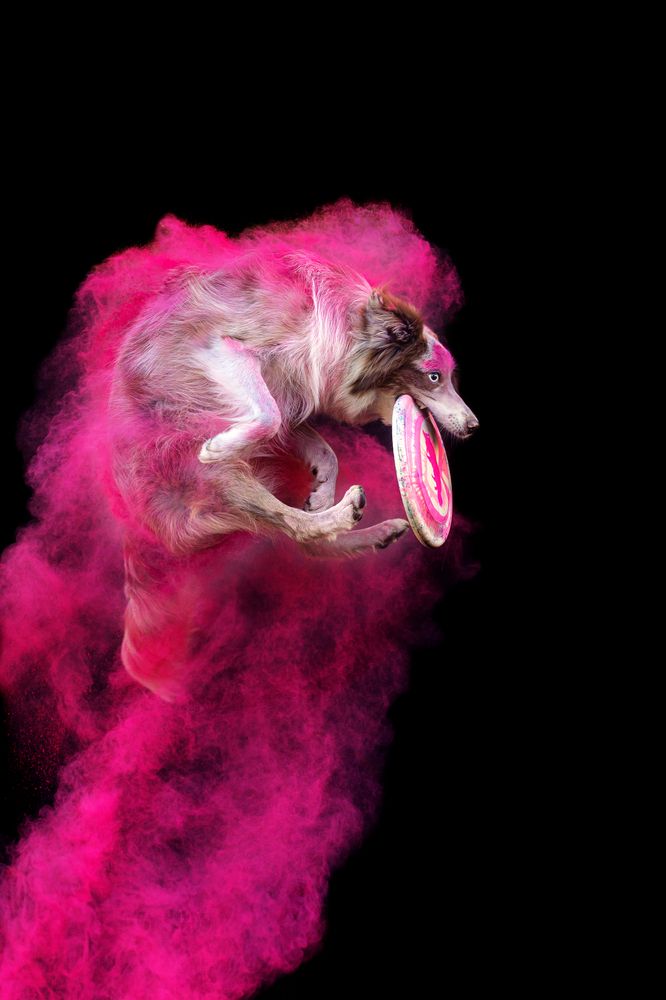 Фотография автора Екатерина Киреева