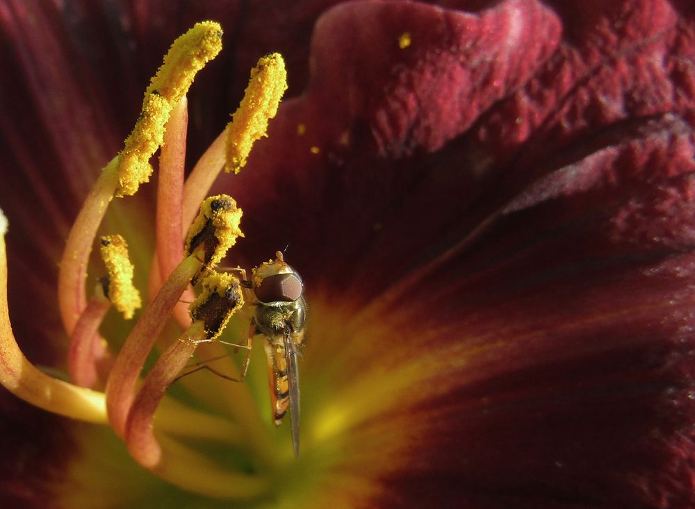 Photograph by Olga Kot