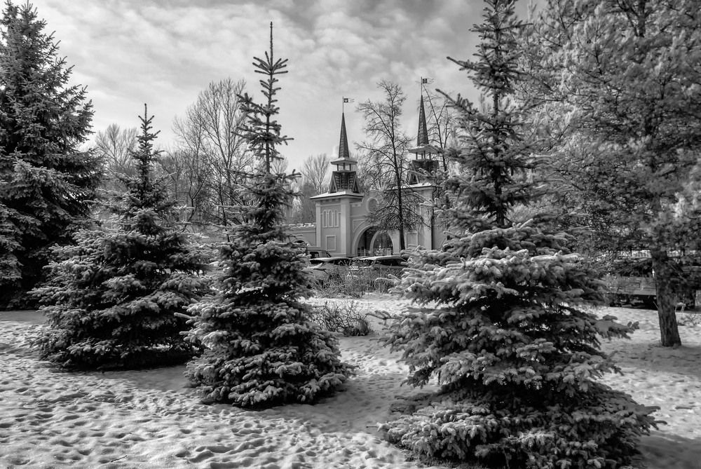 Photograph by Носков Михаил