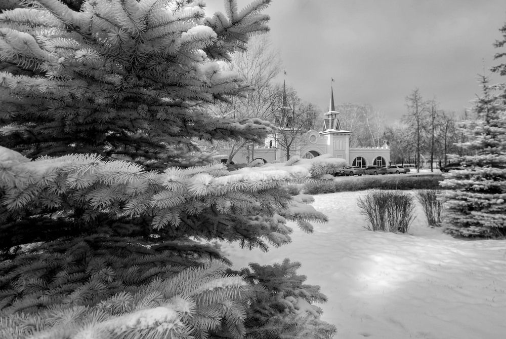 Photograph by Носков Михаил