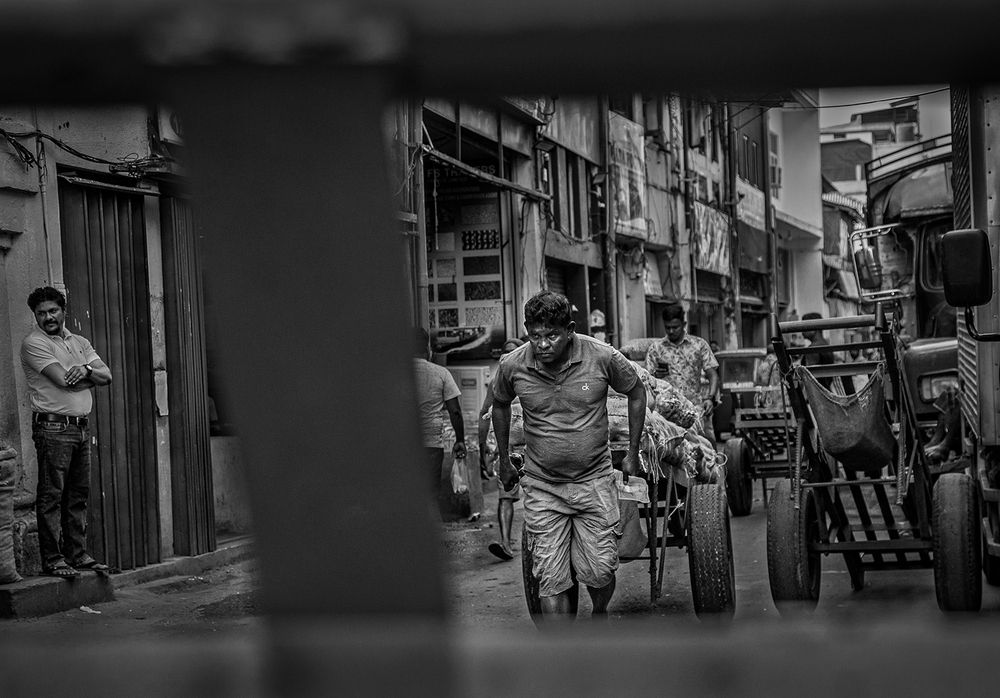 Фотография автора Laddu Sasindu Pramuditha De Silva