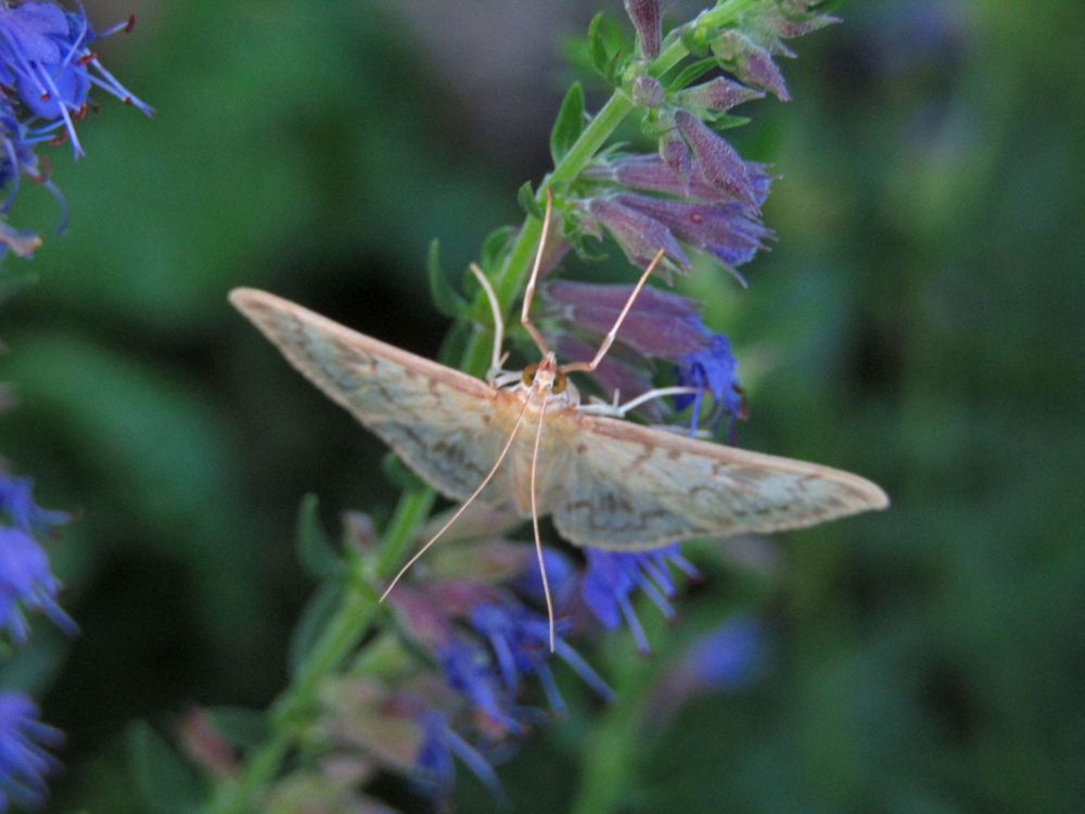 Photograph by Olga Kot