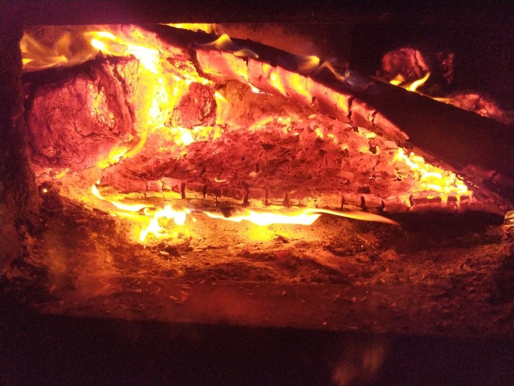 Photograph by Olga Kot