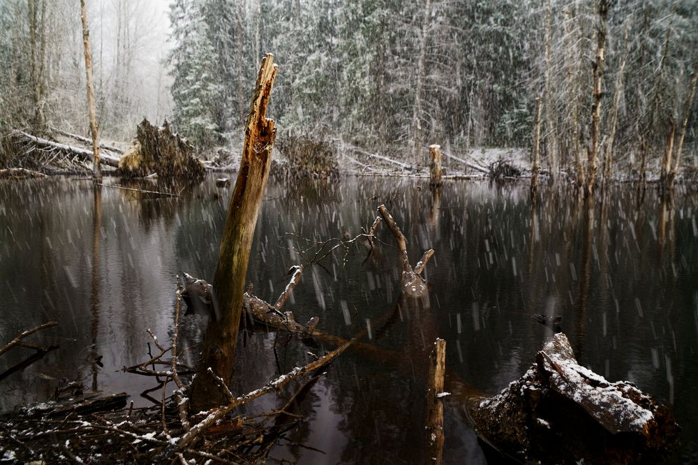 Photograph by Ольга Аристова