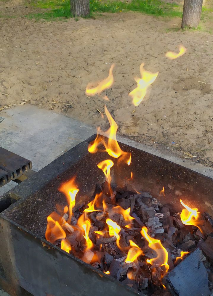 Photograph by Olga Kot