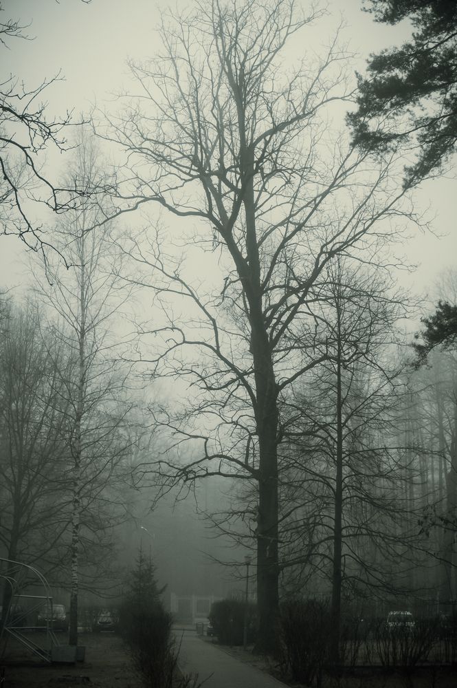 Фотография автора Максим Светличный