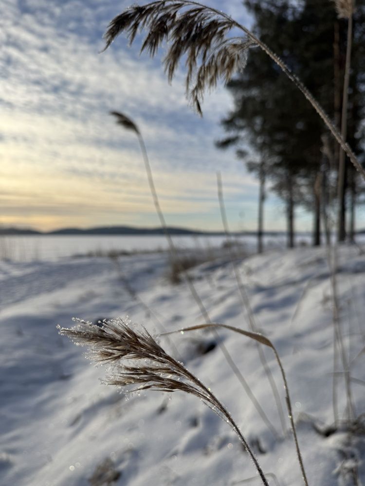 Photograph by Марина Сальникова