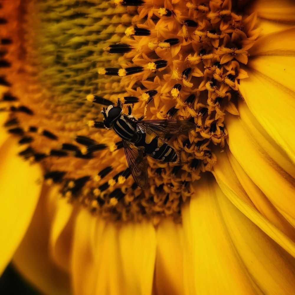Фотография автора Татьяна Сякина