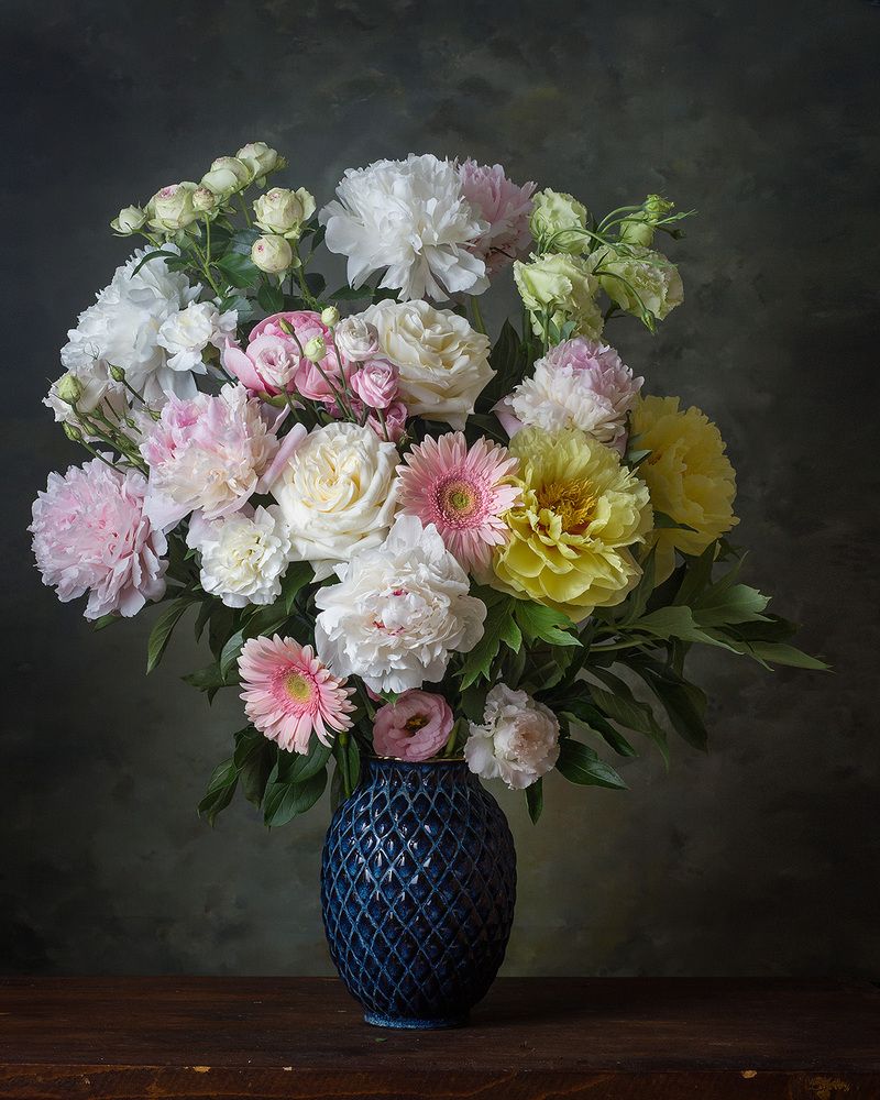 Фотография автора Алина Ланкина