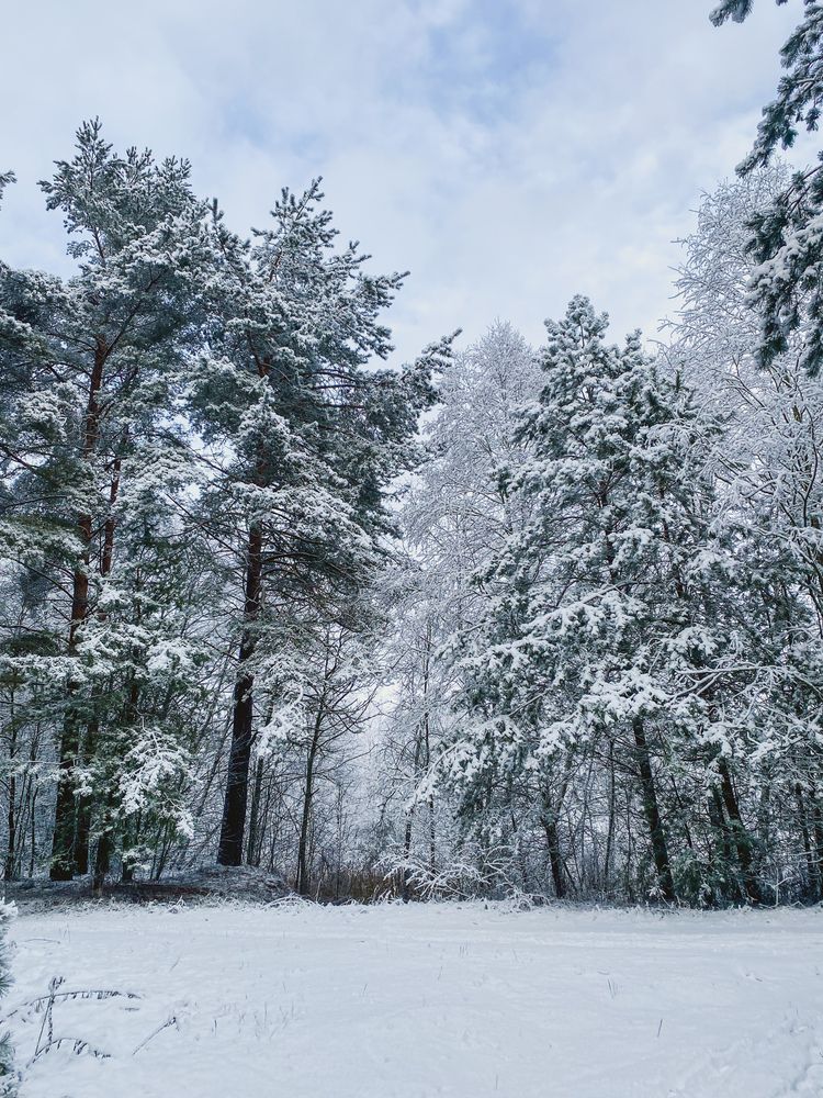 Photograph by Светлана Долганова