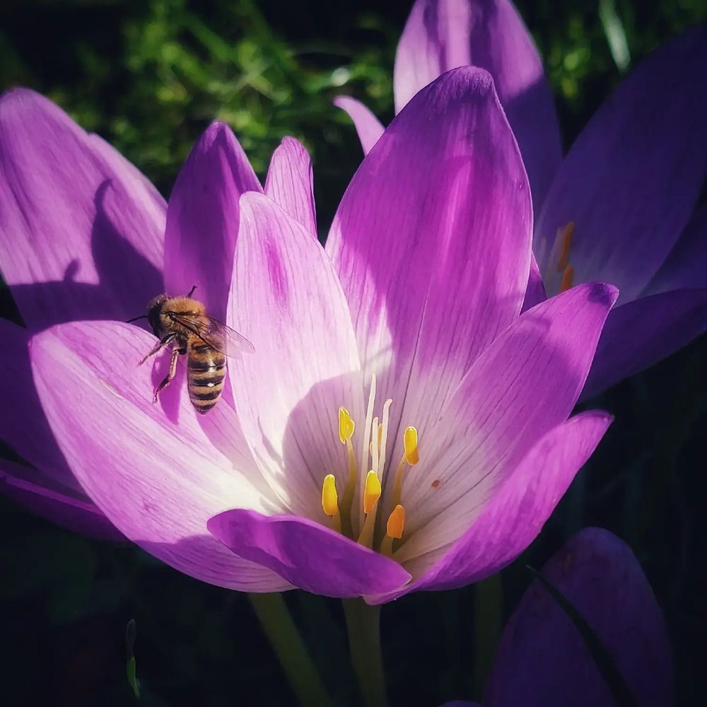 Фотография автора Татьяна Сякина