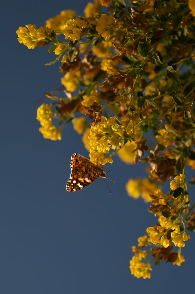 Photograph by Ксения Щербань
