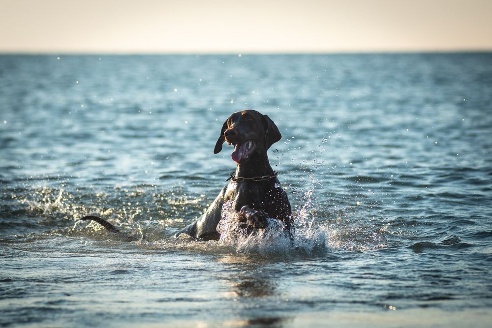 Photograph by Наталья Романова