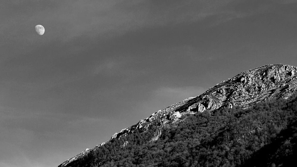 Фотография автора mahyar sj