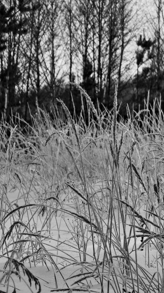 Photograph by Полина Лапкина