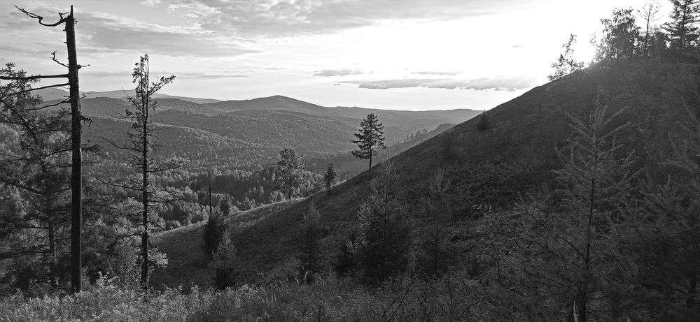 Сибирские просторы