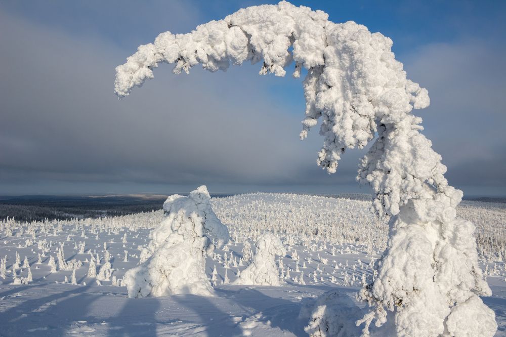Photograph by Вадим Городницкий