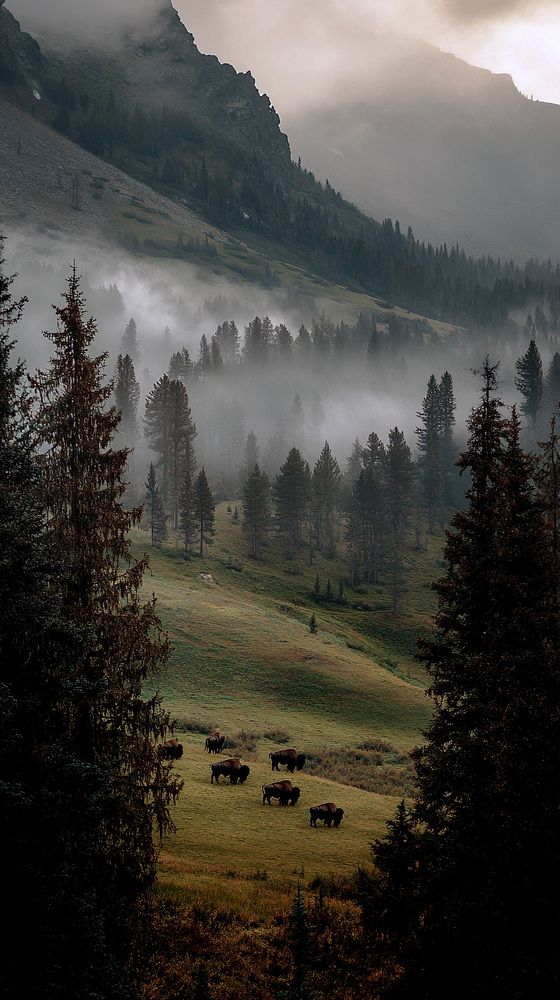 Фотография автора Igor Lukin