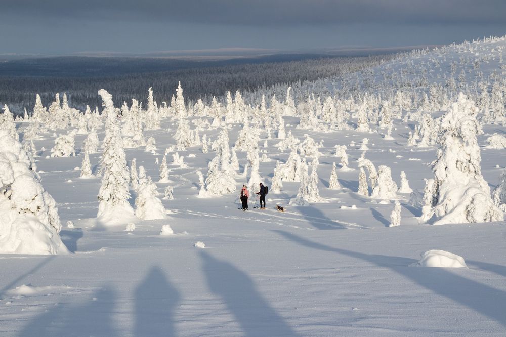 Photograph by Вадим Городницкий