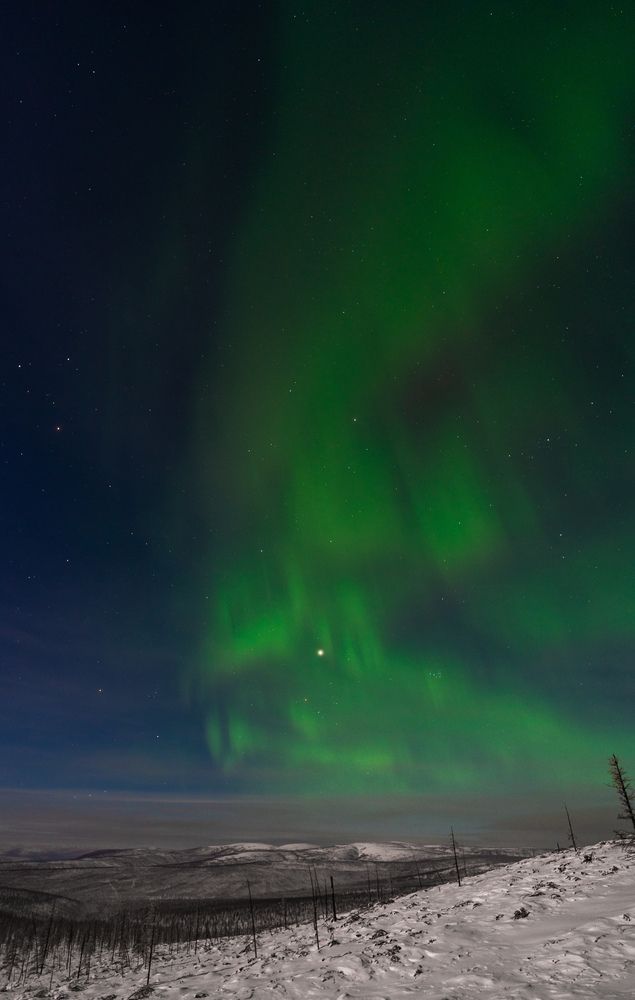 Photograph by Максим Апонасенко