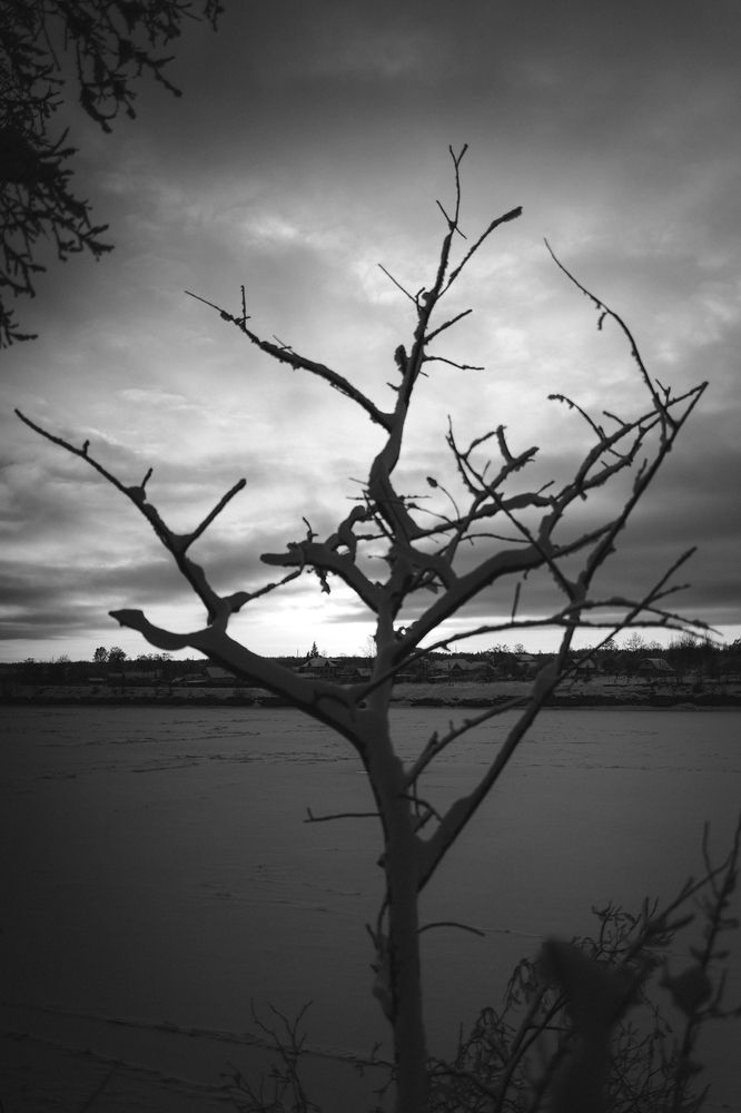 Photograph by Алексей Кочерыжкин